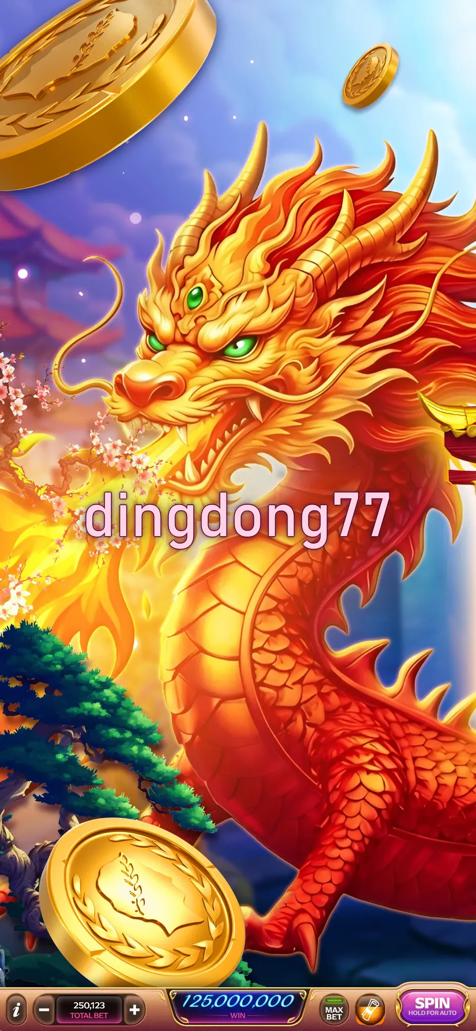 dingdong77 Masuk