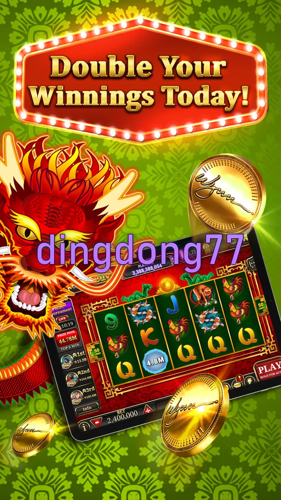 dingdong77 Tangkapan Layar